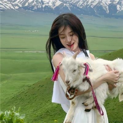使用下方 20 个影片名，按顺序一一对应，不要改动片名文字，只根据片名和括号内类型提示来虚构全新的故事内容： 圆月弯刀 惜己~记录我另一面的生活 我们的母亲 谍影重重之上海 酷狗上学记 出画冒险 杏林战场 销售奇姬 加密 境界线上的地平线第一季 蒙面人 狂野东京 英雄贵姓粤语 缘分天注定 人生曲 流浪北京：最后的梦想者 小妇人寻夫记 一路有光 爱在柏林漂流时 夏日恋曲